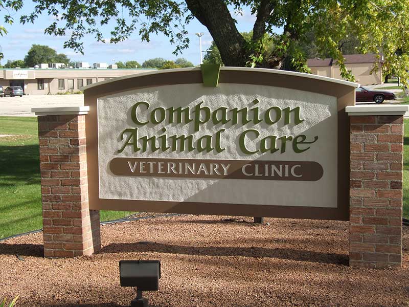 Companion care best sale animal clinic