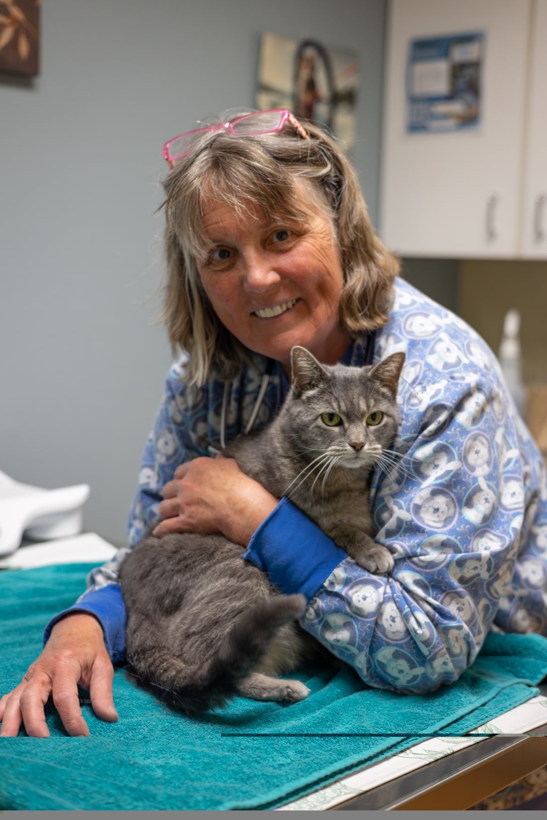 relief Vet Dr. Clarissa Sheldon DVM